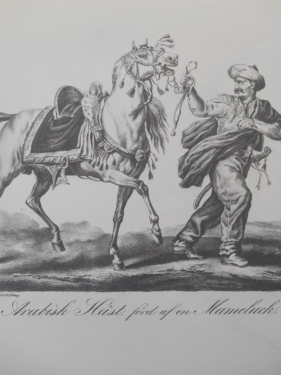ARABISK HÄST FÖRD AF EN MAMELUCK - VERNET