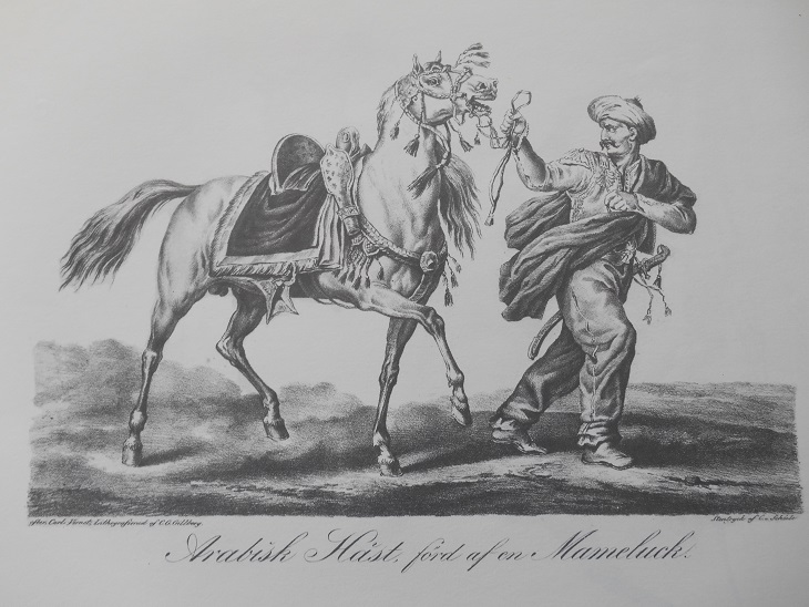 ARABISK HÄST FÖRD AF EN MAMELUCK - VERNET - 2