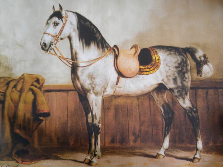 LIPPIZANER - OTTO EERELMAN - 2