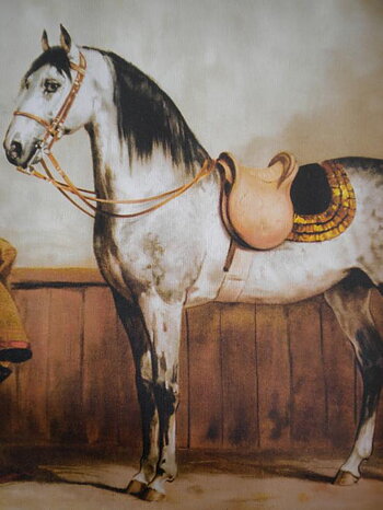 LIPPIZANER - OTTO EERELMAN