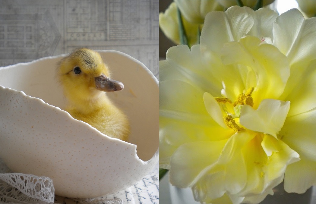 VÄLKOMMEN TILL COMPAGNIET Antik och kustnära inredning 