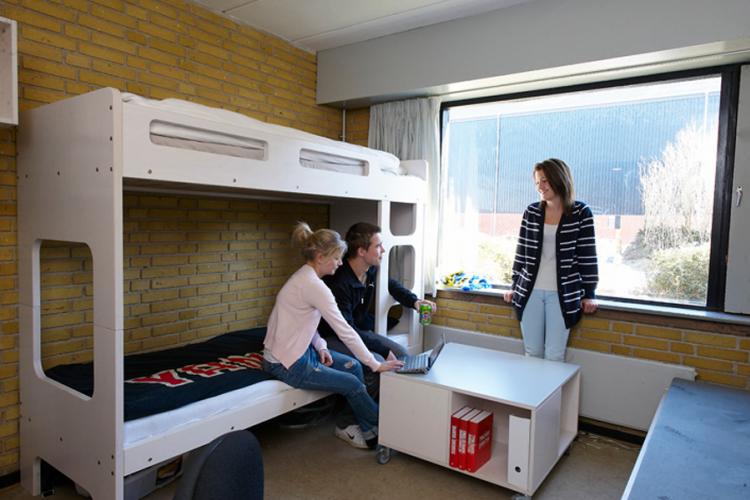 Køjeseng - 2