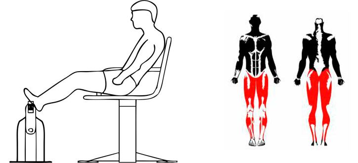 Lower Limbs Trainer - 2