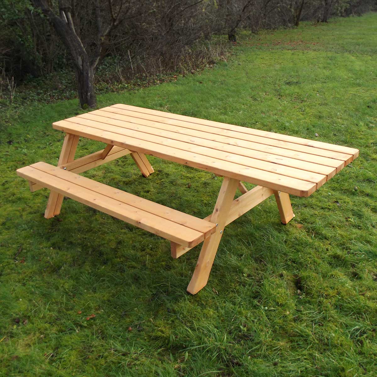 Pic-nic Senior Rullstolsanpassat