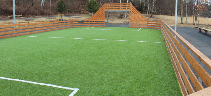 Boldbane 10x22m - 4