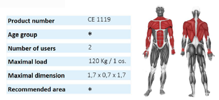 Pull Down and Chest Press - 2
