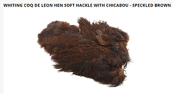 Whiting Coq De Leon Hen Soft Hackle With Chicabou