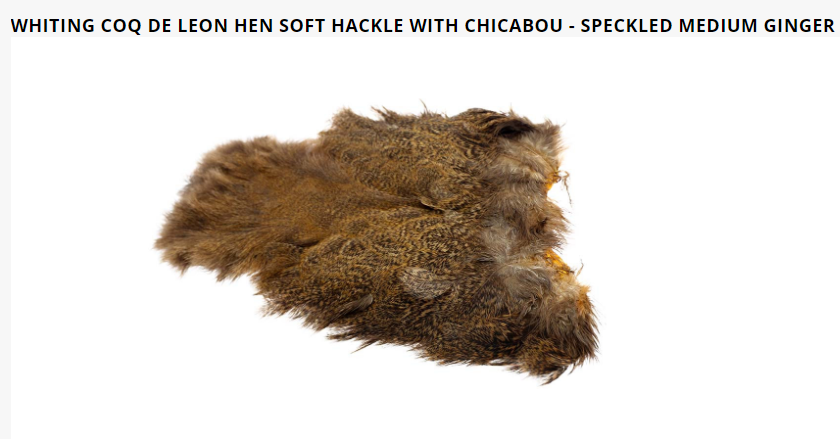 Whiting Coq De Leon Hen Soft Hackle With Chicabou - 4
