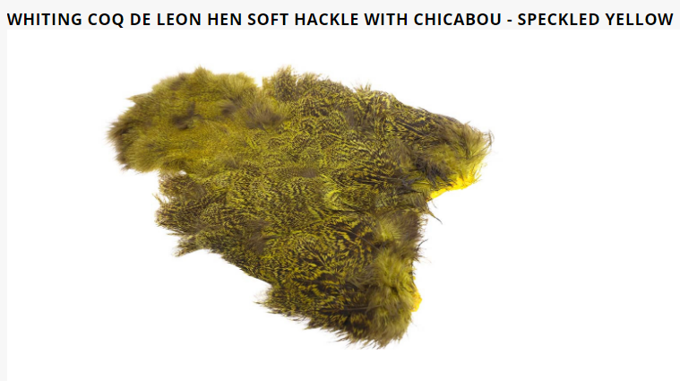 Whiting Coq De Leon Hen Soft Hackle With Chicabou - 5