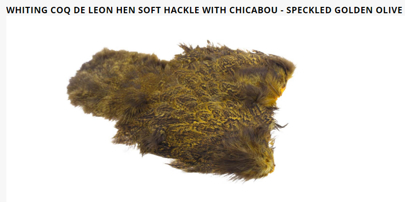 Whiting Coq De Leon Hen Soft Hackle With Chicabou - 6
