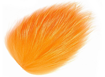 Futurefly Tanuki