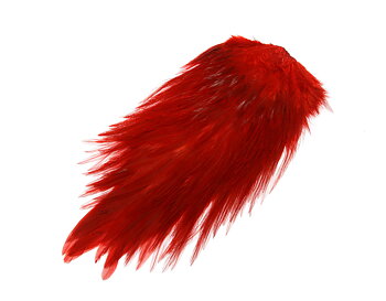 Futurefly Rooster Saddle