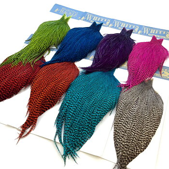 Whiting High & Dry