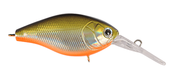 Cranky X – Deep 5cm
