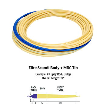 RIO Elite Scandi Body - Hover/Intermediate