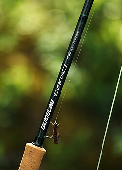 Flugfiskeset Guideline Embrace   - Trout 