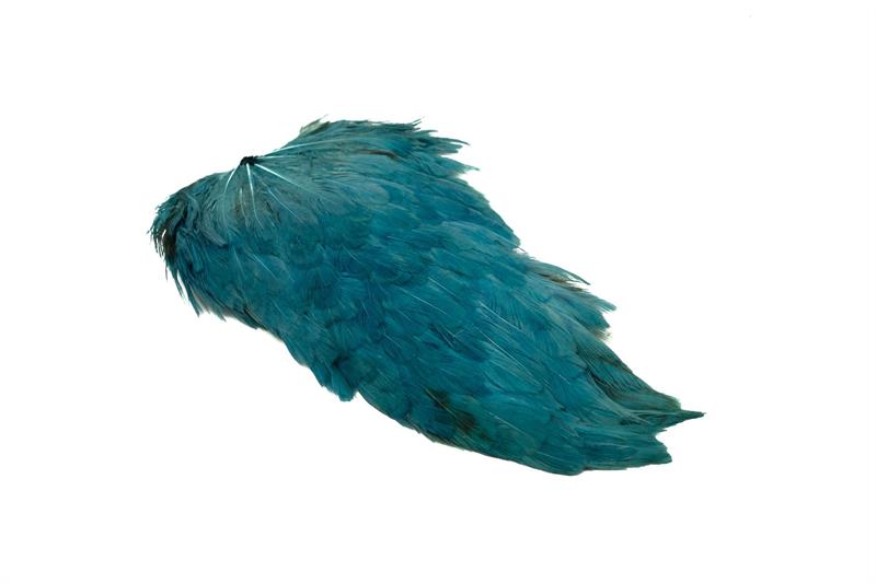 Indian Hen Saddle - 6