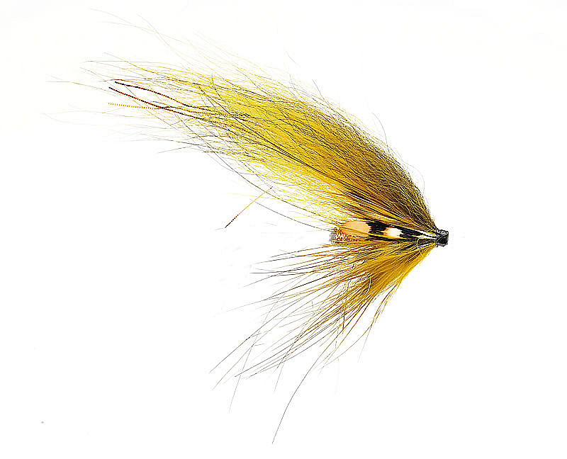 Banana Fly