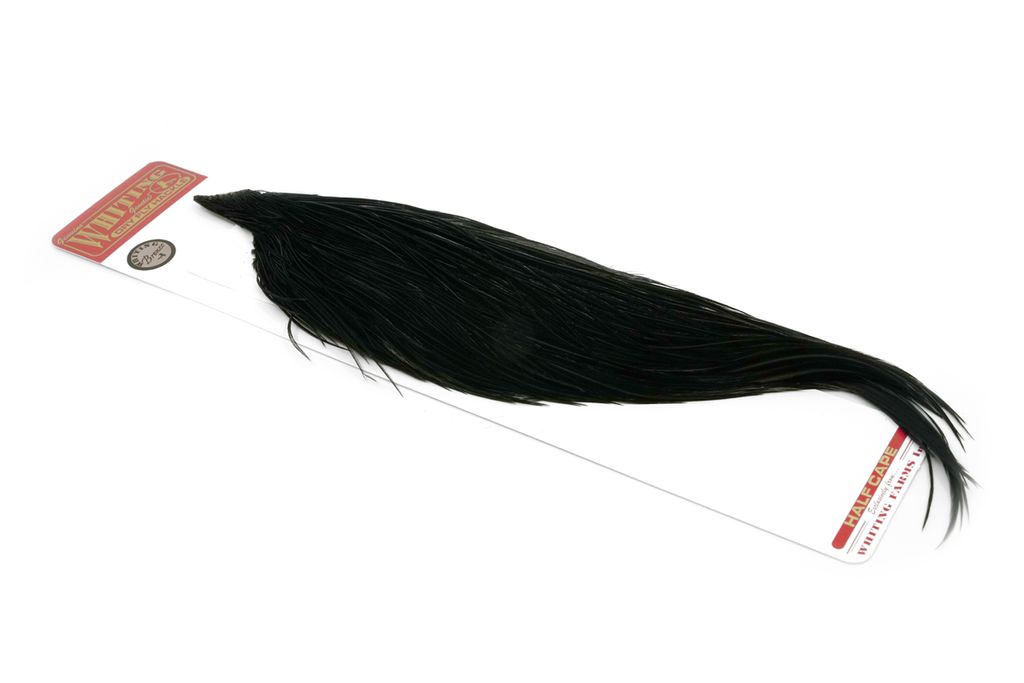 Whiting - Bronze 1/2 Tuppnacke - 4