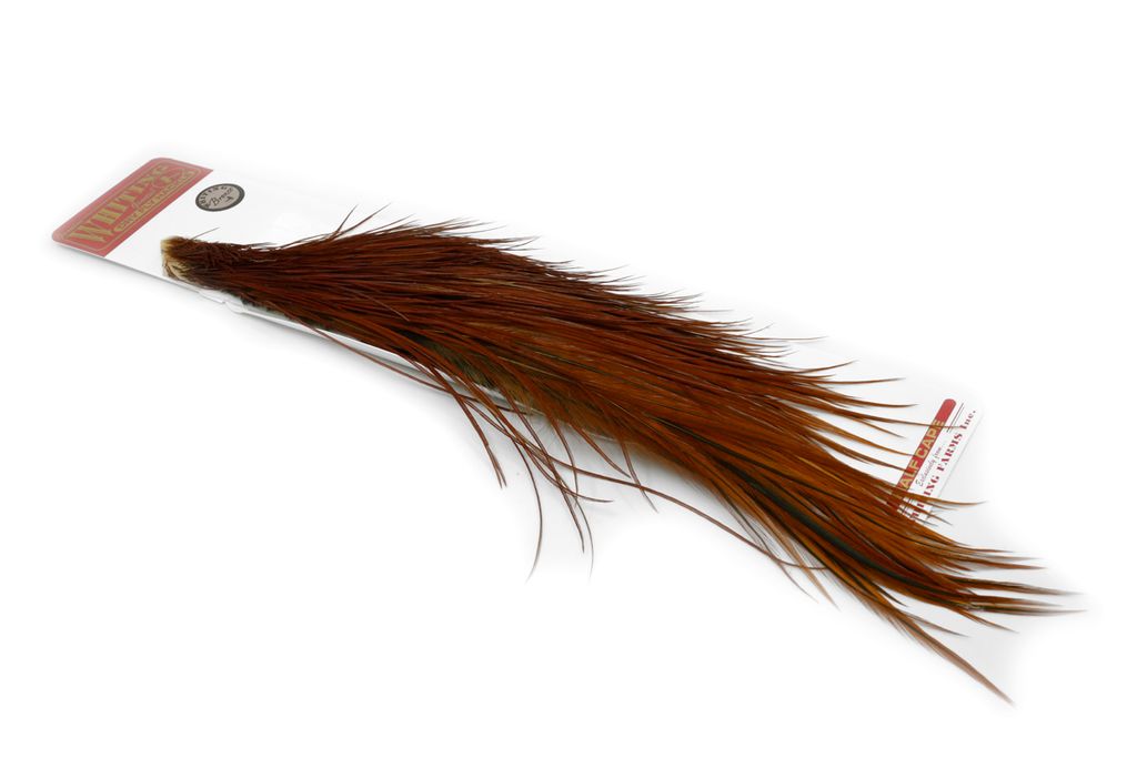 Whiting - Bronze 1/2 Tuppnacke - 3