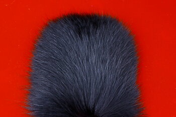 Futurefly Shadow Fox