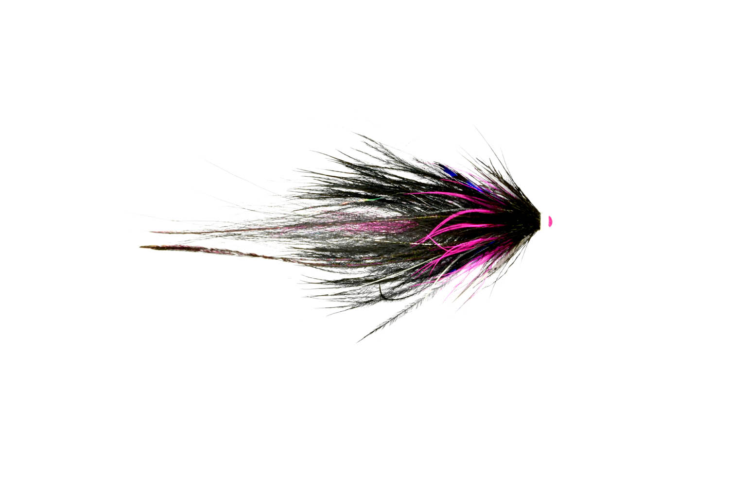 Mikael Frödin Butterfly Series - 8