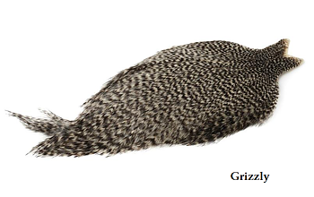 Whiting Coq De Leon Cape