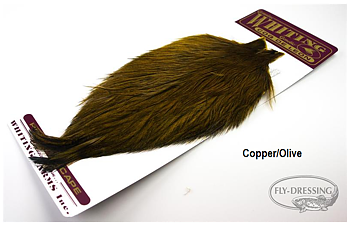 Whiting Coq De Leon Cape