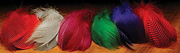 Teal Flank Feathers