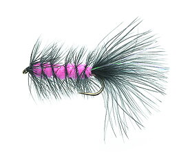 Flash a' Bugger Fluo Pink