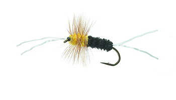Bitch Creek Black/Yellow 