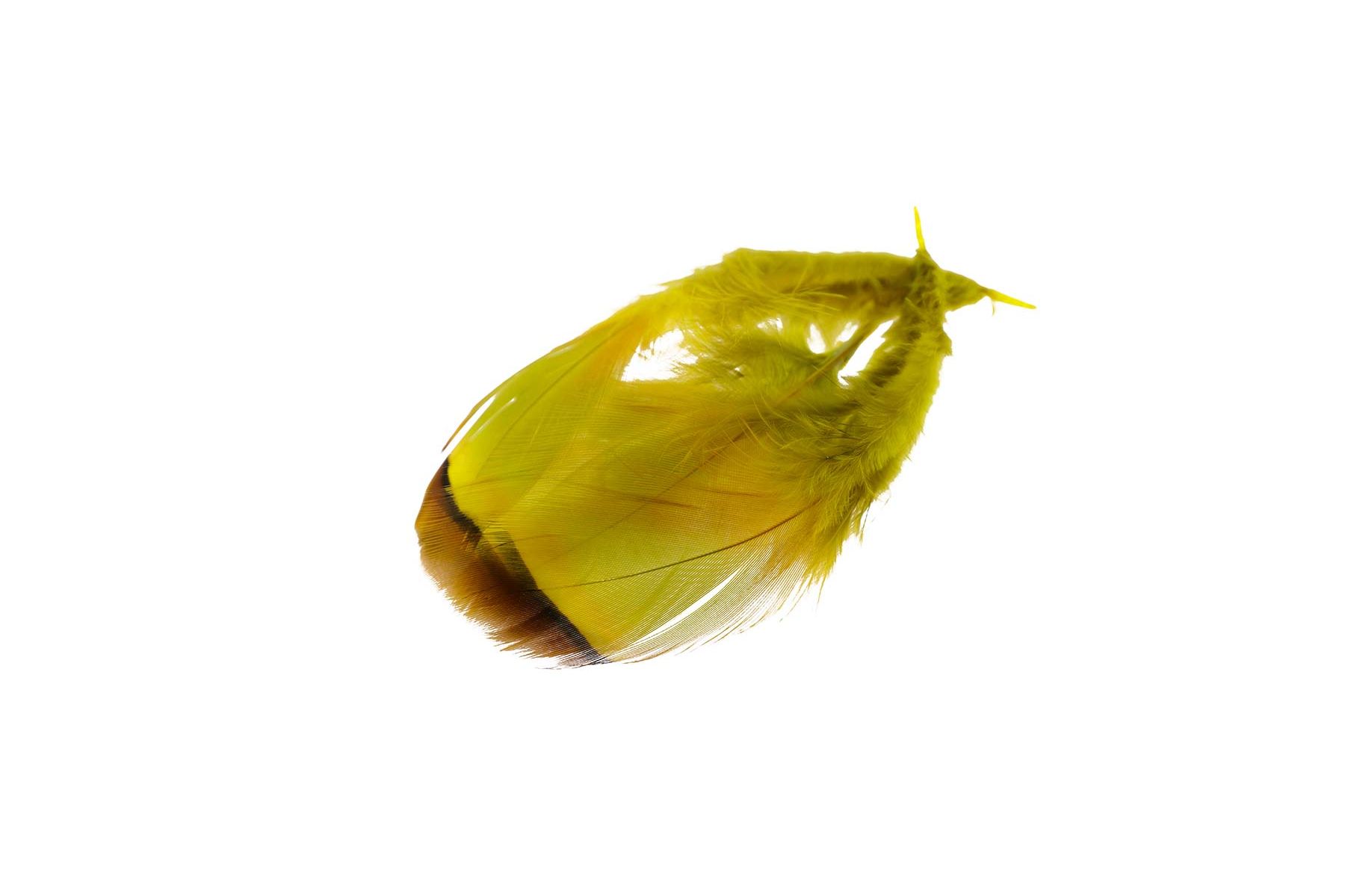 French Partridge/Rapphöna - 4
