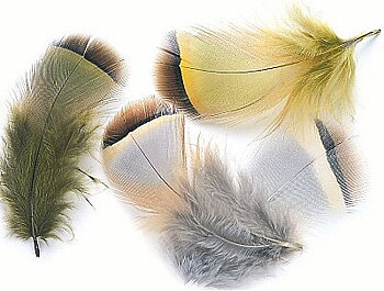 French Partridge/Rapphöna