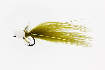 Booby Olive 
