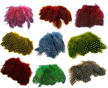 Strung Guinea Feathers