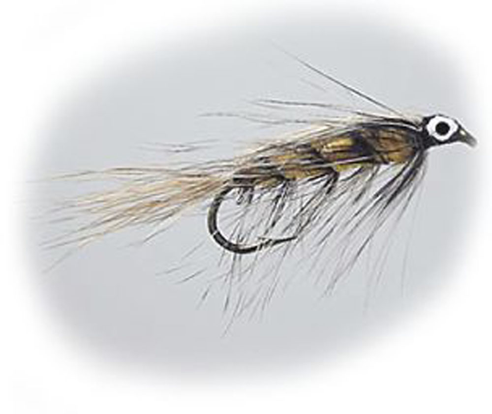 Wiggler Special #10