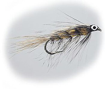 Wiggler Special #10