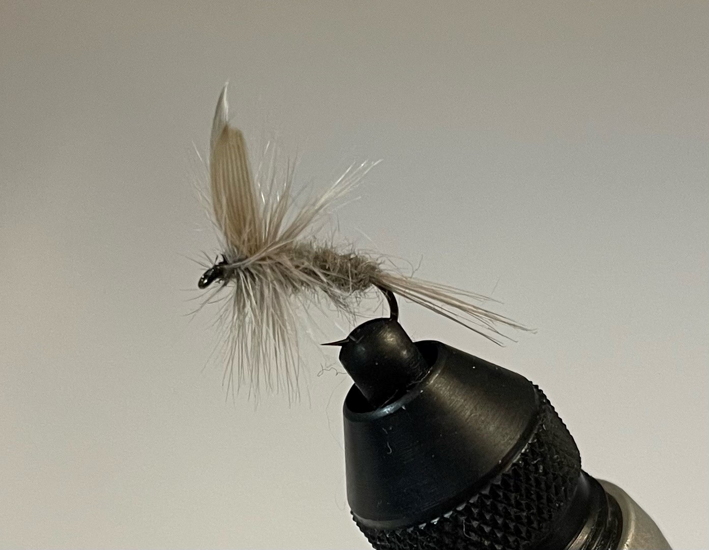 W - Sweden Blue Dun #12