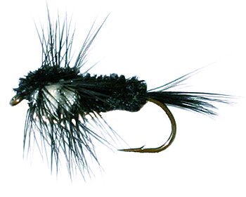 Montana Nymph Black/White
