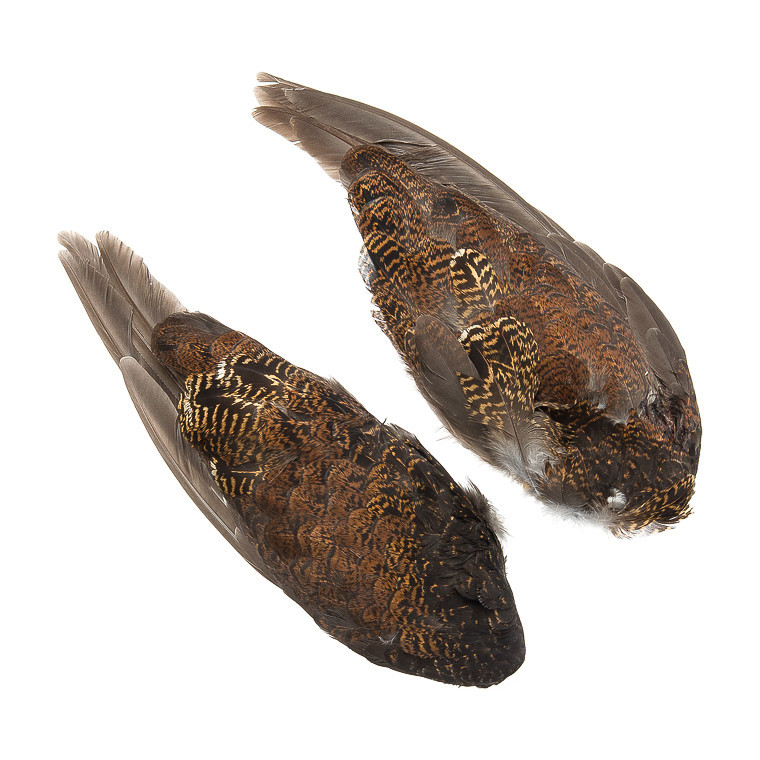 Ripa (Grouse) Vingpar