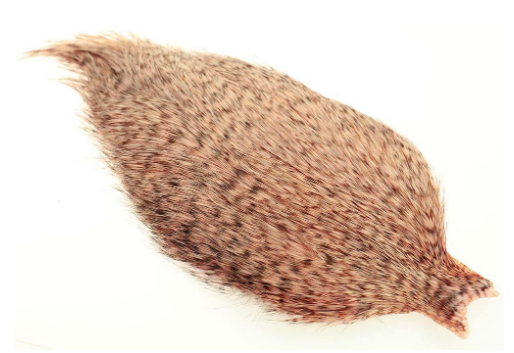 Whiting Bronze Speyhackle - 2