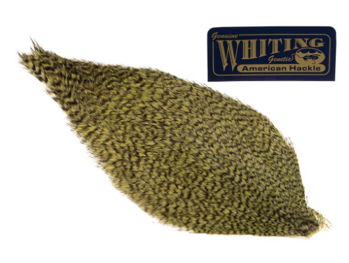Whiting American Rooster Cape - 3