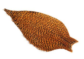 Whiting American Rooster Cape