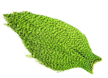 Whiting American Rooster Cape
