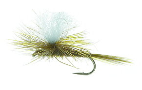Parashute Dun Olive