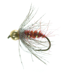 BH S. Lummes Puppa Brown/Orange