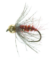 BH S. Lummes Puppa Brown/Orange