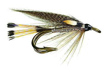 Heggeli #10