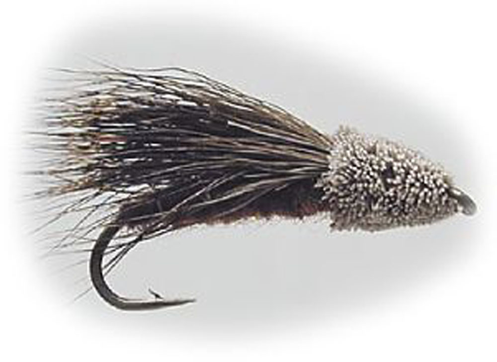 W - Streaking Caddis #12