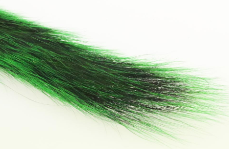 Ekorre Svans - 3